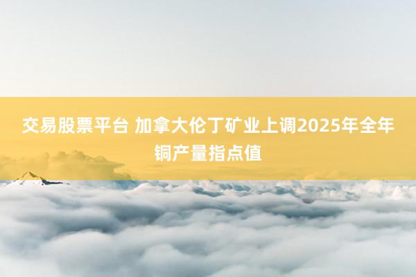 交易股票平台 加拿大伦丁矿业上调2025年全年铜产量指点值