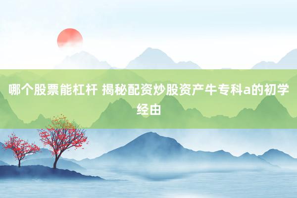 哪个股票能杠杆 揭秘配资炒股资产牛专科a的初学经由